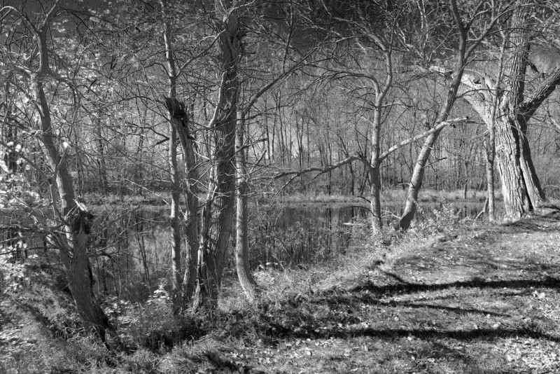 75275-lake41118b-c.jpg